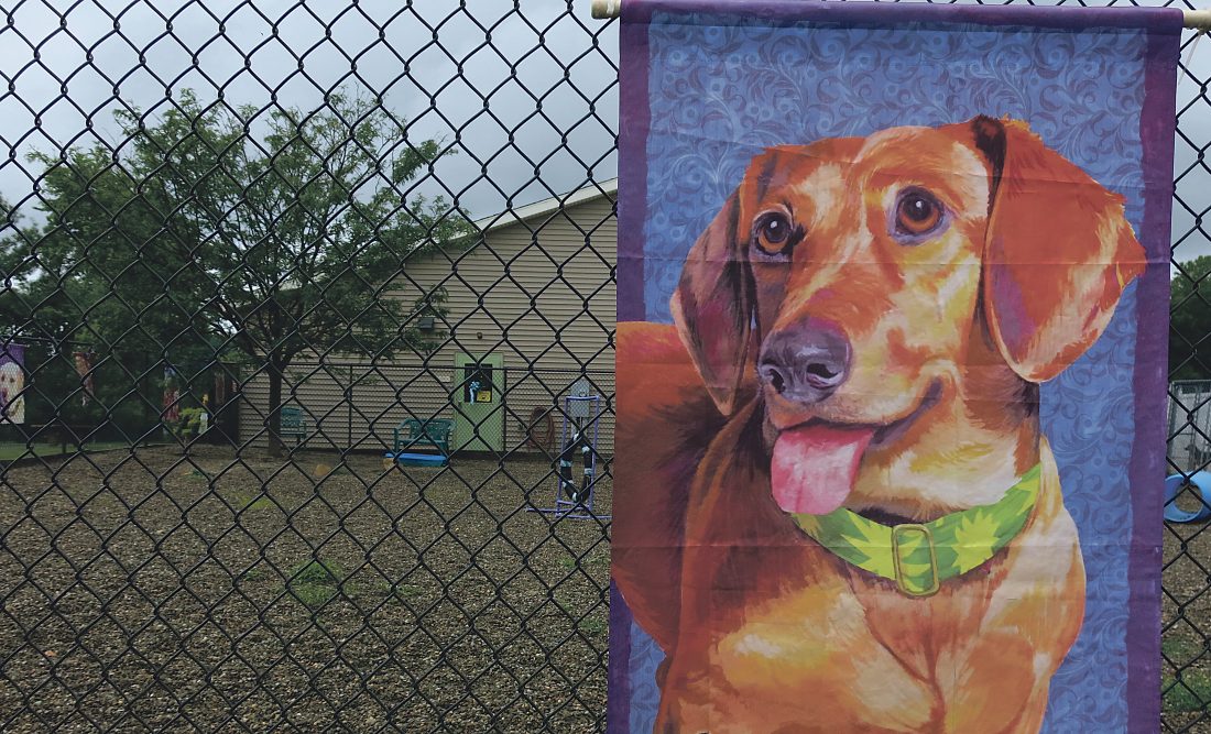 Pet peeves News, Sports, Jobs Times Observer